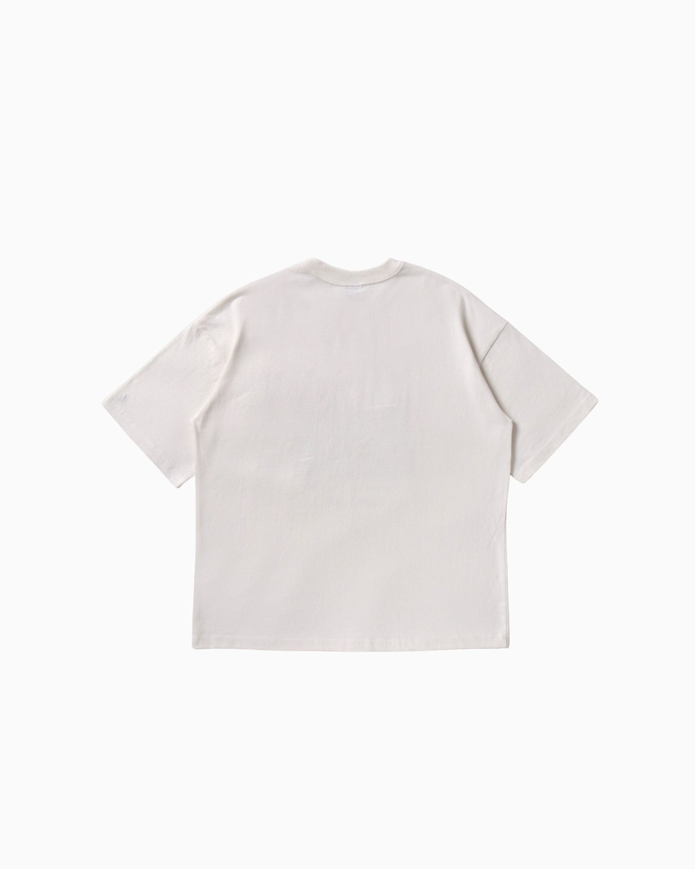 天竺EMUグラフィックプリント S/S T,Tシャツ,半袖,プリントTシャツ,半袖,プリント
